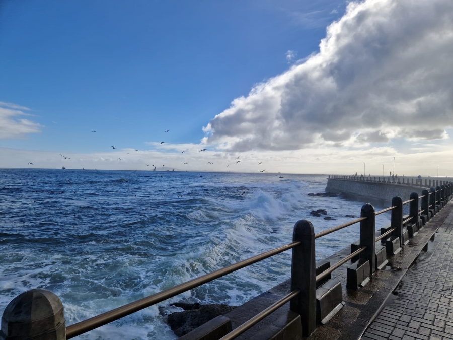 To Let 1 Bedroom Property for Rent in Mouille Point Western Cape